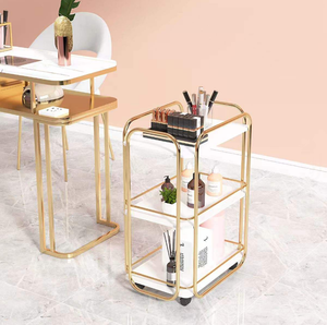 Beauty Salon Rolling <b>Tool</b> Cart Hand Push Treatment Storage <b>Trolley</b> with Rack - Product Image 1