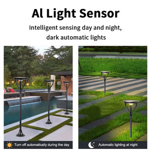 Lampadaire <span class=keywords><strong>solaire</strong></span> extérieur imperméable de rue de la pelouse IP65 5W LED de route - Product Image 5