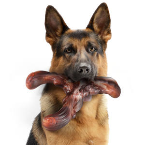 Giocattoli di Lusso Premium per Cani Lynpet, Indistruttibili, da Masticare, in Nylon Ecologico, Gusto Manzo, per Uso Interno/Esterno - Product Image 1