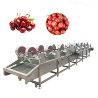 Kruiden Groenten En Voedsel Fruit Dehydrateren Drogen Gedehydrateerde Machine Dehydrator Automatisch Programmeerbaar Industrieel