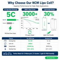 Cellule Lipo NCM 5C à décharge rapide 3,7V 50,5Ah - Cellule légère 3000 cycles Batterie lithium-ion souple