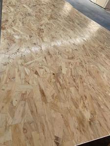 <span class=keywords><strong>22mm</strong></span> <span class=keywords><strong>osb</strong></span> à rainure et languette plancher en aggloméré mfc conseil okal panneaux de particules a54 3/<span class=keywords><strong>4</strong></span> pouces osb3 <span class=keywords><strong>osb</strong></span> panneau e1 de particules <span class=keywords><strong>osb</strong></span> - Product Image 2