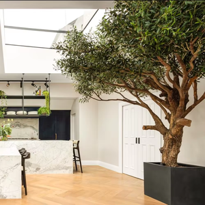 Décor d'intérieur de restaurant à <span class=keywords><strong>prix</strong></span> d'usine 4m de grands arbres ornementaux artificiels <span class=keywords><strong>olivier</strong></span> artificiel - Product Image 4