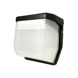 哑光塑料聚碳酸酯盖壁挂式户外发光二极管壁灯
