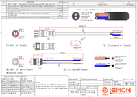 IP67 2 3 4 broches vis filée montage sur panneau Type de verrouillage rapide M12 connecteur de câble cc étanche