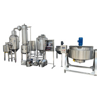Grote schaal 1T/u volautomatische tomatenpuree productiemachines tomatensaus productielijn met CE-certificering