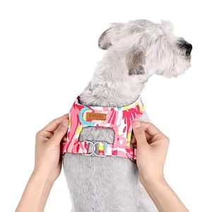 Özel yeni evcil hayvan koşumu tasma seti yaz örgü nefes köpek ayarlanabilir yelek yürüyüş kurşun tasma küçük orta köpek kedi Pet için - Product Image 5