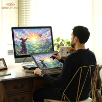 Tablette graphique numérique DigiDraw 18,4 pouces avec écran LCD pour artistes, équipement numérique pour designers