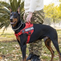 Arnés para Perro Antiexplosión Extensible, Arnés para Mascotas sin Estrangulamiento con Cierre de Hebilla para Perros Medianos y Grandes, Suministros para Mascotas