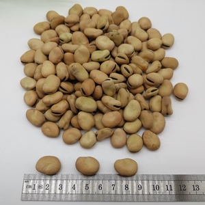 Frijoles amarillos claros de Selección manual a granel 50-60 granos por 100g de habas secas - Product Image 5
