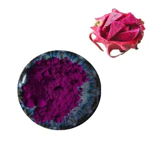 Polvo <span class=keywords><strong>de</strong></span> Fruta del Dragón - Sin OMG, <span class=keywords><strong>Pitahaya</strong></span> Liofilizada, <span class=keywords><strong>Pitahaya</strong></span> Cruda, Superalimento Vegano, a Granel, Sin Irradiación, Rico en Vitaminas - Product Image 1