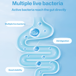 Suplementos Probióticos para la Salud de las Aves, Polvo para Loros, Suplementos Nutricionales, Salud Gastrointestinal, Digestión Lenta - Product Image 4