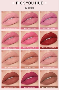 Handaiyan nuevo 12 colores rosa maquillaje lápiz labial pequeño orden seda Velvetenn niebla duradera cubo de hielo desnudo mate lápiz labial - Product Image 6