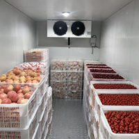 Chambre froide commerciale pour la conservation des produits frais, des produits laitiers, de la viande et des aliments réfrigérés