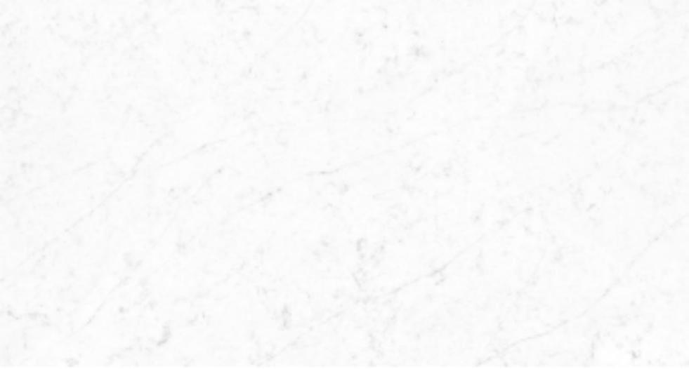 BL21-T04