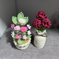 Plante en pot de carnations au crochet faites à la main - Fleur en laine réaliste 3D, cadeau idéal pour la fête des mères et décoration bohème pour la maison