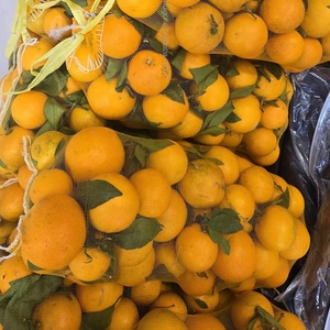 Sac en polypropylène, sac tissé en PP, sac en filet Leno, sac en filet pour légumes, fruits, pommes de terre, oignons, carottes avec cordon de serrage - Product Image 6
