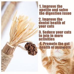 100% naturale <span class=keywords><strong>Matatabi</strong></span> bastoncini di Silvervine per la pulizia dei denti giocattolo per la masticazione dentale Silvervine bastoncini per gatti giocattolo - Product Image 3