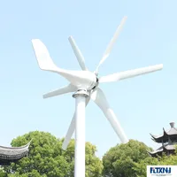 Éolienne de nouvelle conception 800w 12v 24v avec 6 pales, petit générateur éolien portable pour toit de maison