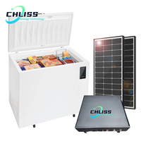 Congélateur coffre solaire grande capacité avec serrure électronique et télécommande, idéal pour la location aux marchés de poissons et sur les quais