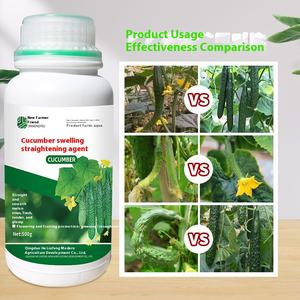 Favoriser la floraison et la fructification <span class=keywords><strong>Engrais</strong></span> agricole <span class=keywords><strong>Engrais</strong></span> de <span class=keywords><strong>concombre</strong></span> - Product Image 4