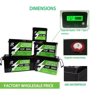 12V/24V/48v 100ah 200ah 300ah Lifepo4 Battery Cell Lithium Ion Battery Packs With Battery Accessories For Forklift Smart