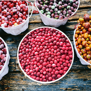 แครนเบอร์รี่แช่แข็งแบบออร์แกนิกผลไม้แช่แข็ง10กก. กระบวนการแช่แข็งที่มีคุณค่าทางโภชนาการสำหรับขายส่ง - Product Image 3