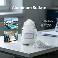 Penjernih Air 50 kg Aluminium Sulfat Granular Kelas Kosmetik Bubuk Alum