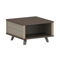 Table basse/table à thé au design moderne, avec support métallique en plaque E0 respectueuse de l'environnement, idéale pour la maison et le bureau