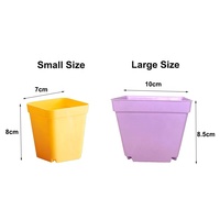 Penjualan Grosir Perlengkapan Kebun Mini Murah Pot Tanaman Sukulen Plastik Persegi 5.5cm 7cm 10cm