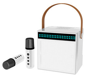 Altavoz de Karaoke Portátil con Dos Micrófonos Inalámbricos y Luces RGB para Uso en Interiores y Exteriores - Product Image 3
