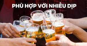 Cerveza Camel 2025 sin Alcohol, 330 ml, Ideal para Vacaciones, Venta al por Mayor, de Fabricante Vietnamita - Product Image 5