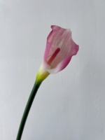 Nouvelle Collection 2026 : Fleurs Artificielles Calla Lily Effet Naturel, Longues Tiges, Idéales pour la Décoration Intérieure, Mariages et Cérémonies Nuptiales