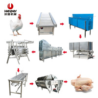 Ligne d'abattage de volailles personnalisée haute productivité en acier inoxydable 304 avec moteur et pompe pour la transformation du poulet