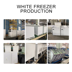 Refrigerador Solar de Color Personalizado con Capacidad de 200L, Espacio de Almacenamiento Amplio, en Color Blanco - Product Image 3