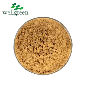 Wellgreen Factory Supply Yucca Powder Feed Food Cosmetics Grade 60% 80% Saponin Yucca Extract