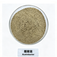 Poudre de démarrage pour bactéries acétogènes Acetobacter 10 milliards UFC/g, dédiée à l'industrie de l'oxydation de l'éthanol et de la fermentation du vinaigre
