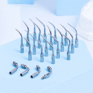 Puntas de Repuesto para Blanqueamiento Dental, Accesorios para Máquina de Limpieza Dental, Uso Doméstico, Material de Acero Inoxidable, Serie P PD G GD E1 - Product Image 6