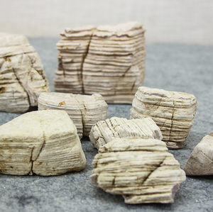 Pesce giallo linea sottile modello acquamarina natura Decore Melaleuca pietra - Product Image 4