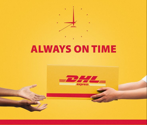 أفضل سعر لوكيل الشحن البحري من قوانغتشو وشنتشن إلى أستراليا (بريزبن وسيدني) مع خدمة التوصيل من الباب إلى الباب وتخليص جمركي كامل وسريع - Product Image 6