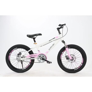 Venta Directa de Fábrica, Bicicletas Infantiles MTB Personalizables, Suministro de Fábrica, Bicicletas Infantiles de Una Velocidad de 18/<span class=keywords><strong>20</strong></span>/22 Pulgadas - Product Image 2