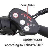 Vélo électrique à cadre en acier TXED, 36V 7.8Ah 250W, pédalage assisté, double commande, pour trajets quotidiens urbains et trajets domicile-travail sur de courtes distances