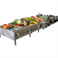 Commerciële fruit- en groenteverwerkingslijn, apparatuur voor de verwerking van verse mango, appel en sinaasappel