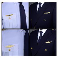 Broche Insigne Militaire en Forme d'Aile pour Uniforme de Service Aérien, Vente en Gros, Dorée, Broche Métallique de Commandant d'Avion avec Fermoir, Insigne de Capitaine d'Avion