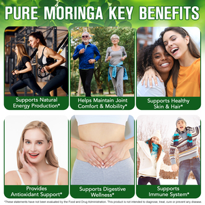 SOLOTREE ekstrak <span class=keywords><strong>Moringa</strong></span> alami non-gmo suplemen Softgel dukungan pencernaan 6000mg <span class=keywords><strong>Moringa</strong></span> hijau Superfood kapsul Softgel - Product Image 4
