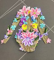 Novance Fournisseur de fabrication de Y2234-G Maille transparente éblouissante Performance Porter des fleurs colorées Tenues de danse exotique