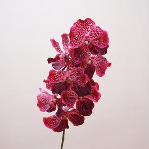 GZYX040 Vente à Chaud <span class=keywords><strong>Orchidée</strong></span> Artificielle Réaliste Toucher 7 Têtes Phalaenopsis Fleur pour Mariage Lobby Home Hotel Decor - Product Image 5