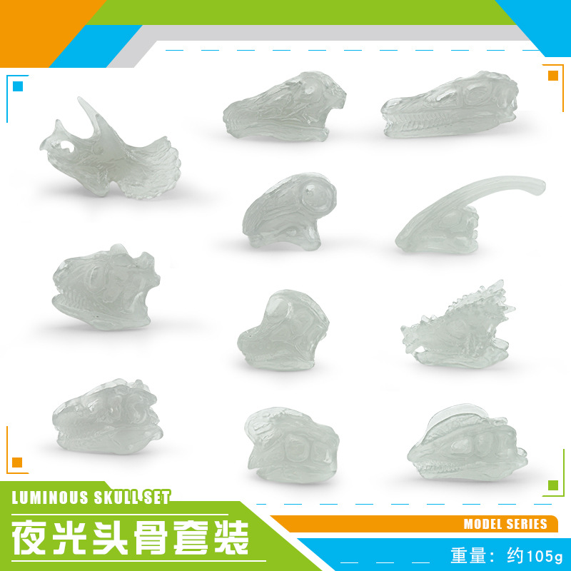 BL-1260 crâne de dinosaure luminescent 105g