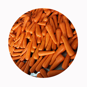 Bán Buôn Đông Lạnh Cà Rốt Giá Rẻ Xuất Khẩu Chất Lượng Cao Đông Lạnh Rau - Product Image 1