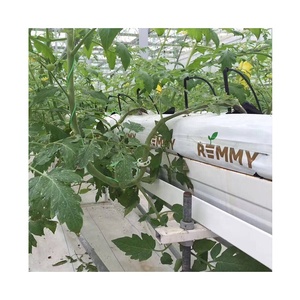 Bolsas de Cultivo de Fibra de Coco <span class=keywords><strong>para</strong></span> Invernaderos Hidropónicos, Bolsas de Cultivo de Coco <span class=keywords><strong>para</strong></span> Tomates Hidropónicos - Product Image 2